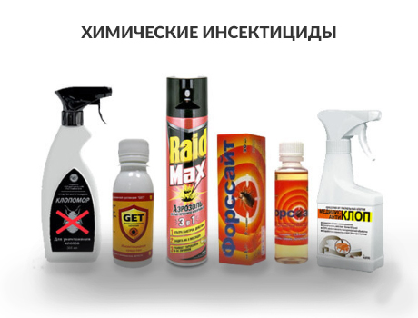 Химические средства от домашних клопов